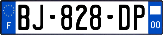 BJ-828-DP