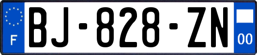 BJ-828-ZN