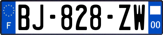 BJ-828-ZW