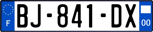 BJ-841-DX
