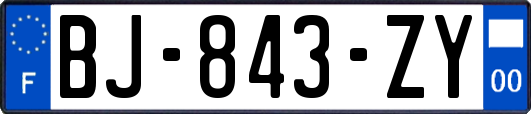 BJ-843-ZY