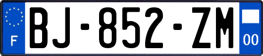 BJ-852-ZM