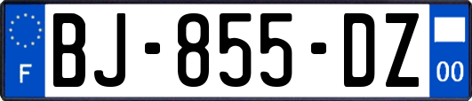 BJ-855-DZ
