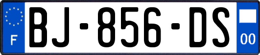 BJ-856-DS
