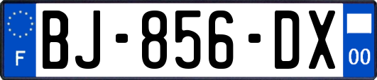 BJ-856-DX