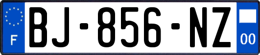 BJ-856-NZ
