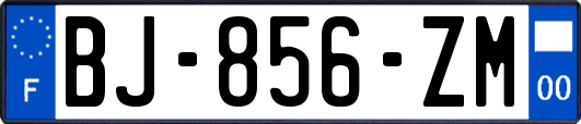 BJ-856-ZM