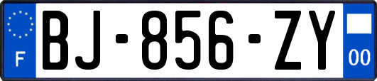 BJ-856-ZY