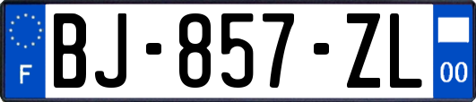 BJ-857-ZL