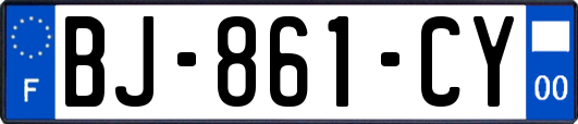 BJ-861-CY