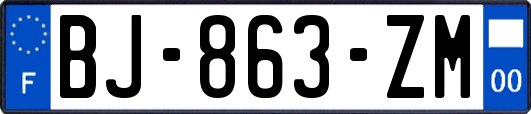 BJ-863-ZM