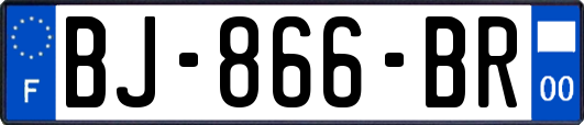 BJ-866-BR
