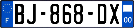 BJ-868-DX