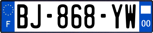 BJ-868-YW