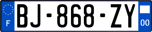 BJ-868-ZY