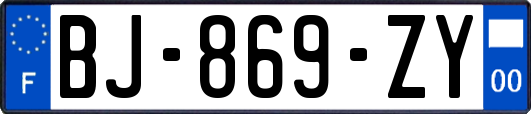 BJ-869-ZY