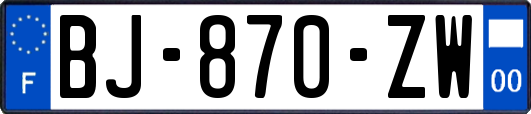 BJ-870-ZW