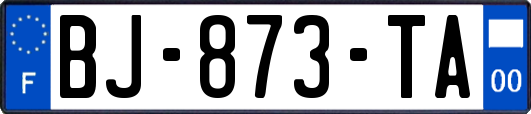 BJ-873-TA