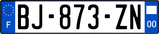 BJ-873-ZN