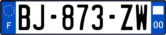 BJ-873-ZW