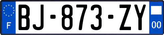 BJ-873-ZY