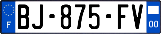 BJ-875-FV