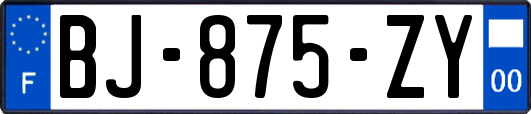 BJ-875-ZY