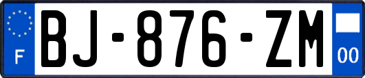 BJ-876-ZM