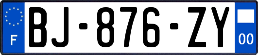 BJ-876-ZY