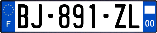 BJ-891-ZL