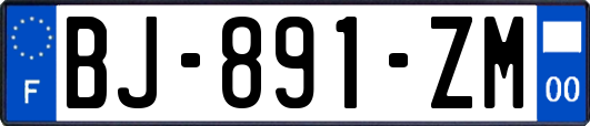 BJ-891-ZM