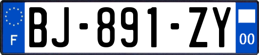 BJ-891-ZY