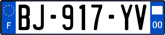 BJ-917-YV