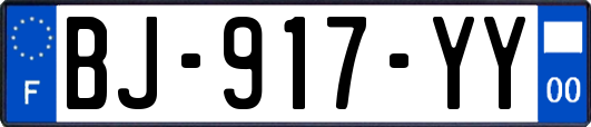 BJ-917-YY