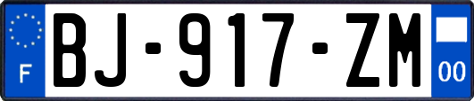 BJ-917-ZM