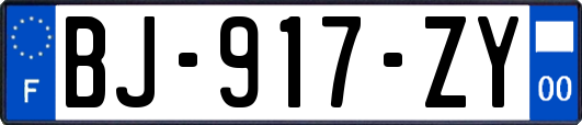 BJ-917-ZY
