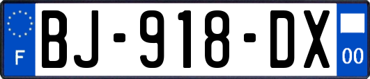 BJ-918-DX