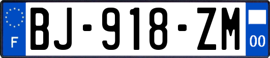 BJ-918-ZM