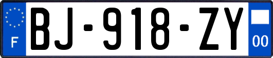 BJ-918-ZY