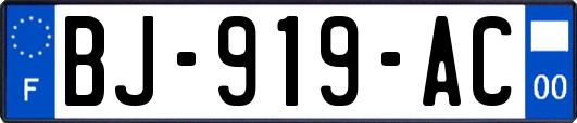 BJ-919-AC