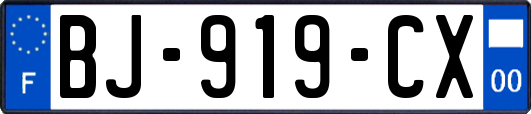 BJ-919-CX