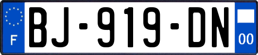 BJ-919-DN
