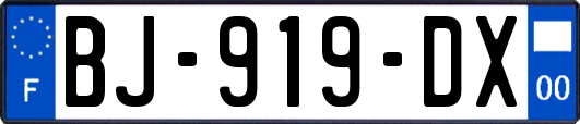 BJ-919-DX