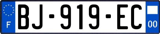 BJ-919-EC