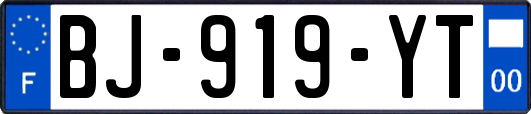 BJ-919-YT