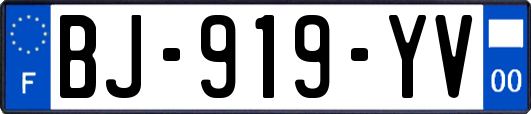 BJ-919-YV
