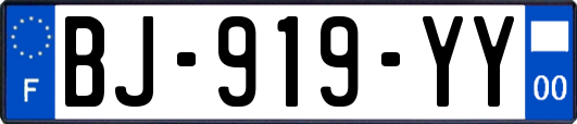 BJ-919-YY