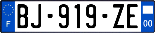 BJ-919-ZE