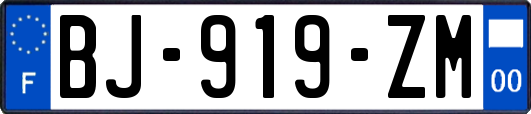 BJ-919-ZM