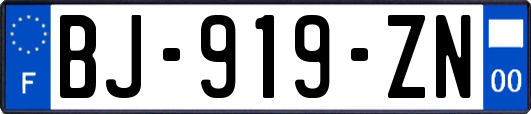BJ-919-ZN